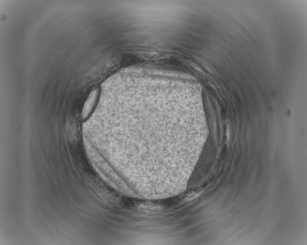 X0000088160515200706121604