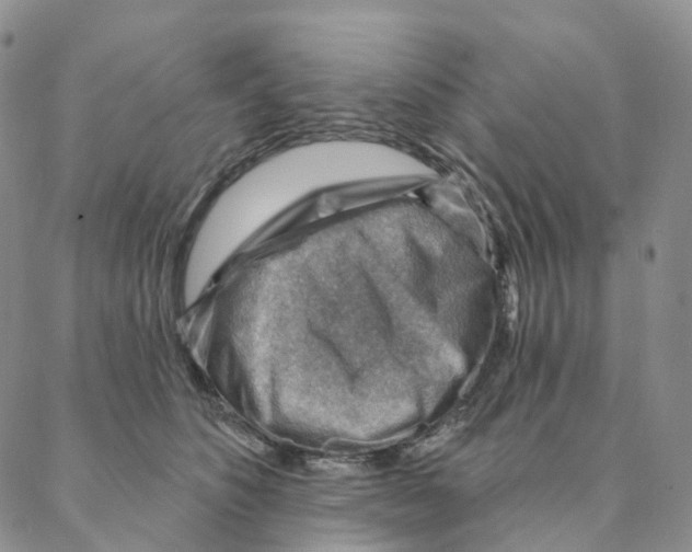 X0000088160516200706121604