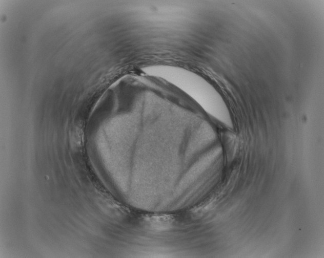 X0000088160517200706121604
