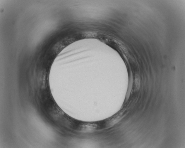 X0000088160525200706121604