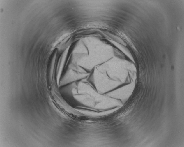 X0000088160530200706121603