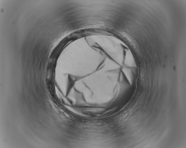 X0000088160532200706121603