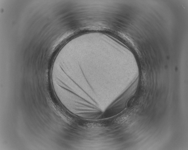 X0000088160535200706121603