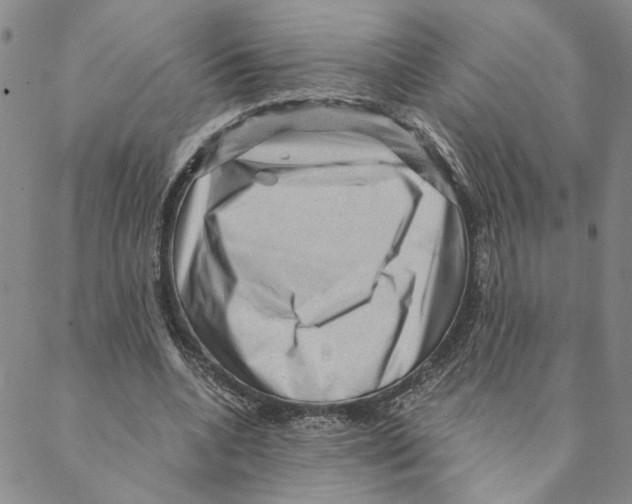 X0000088160536200706121603