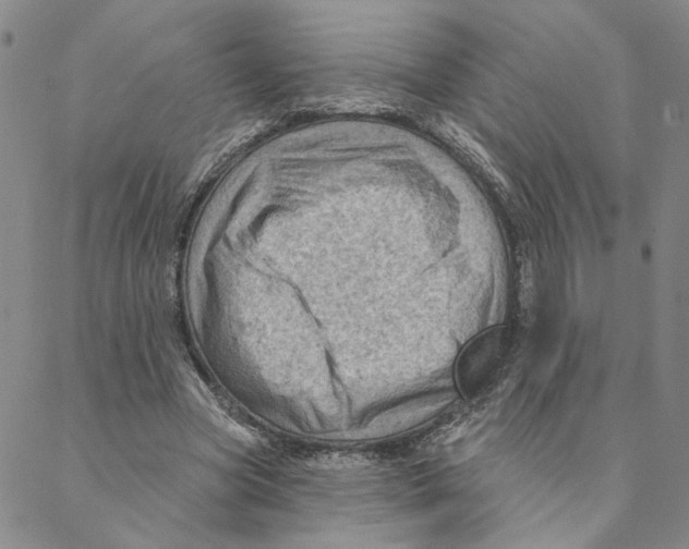 X0000088160537200706121603