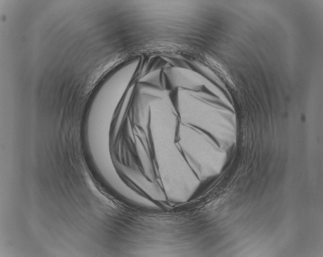 X0000088160538200706121604
