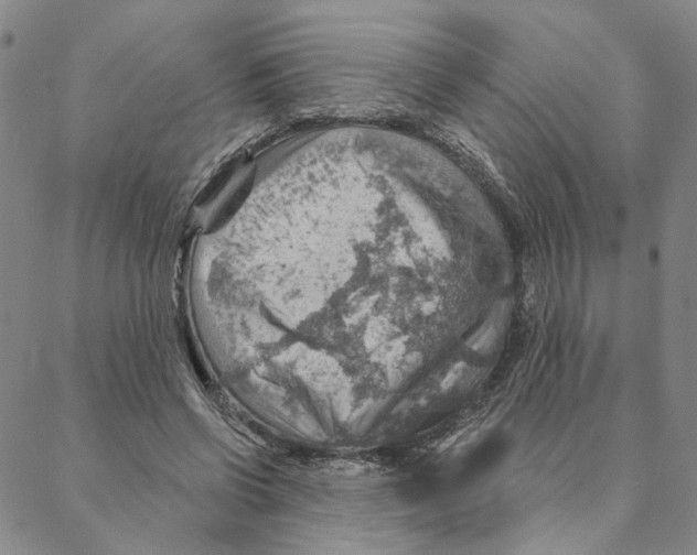 X0000088160542200706121604