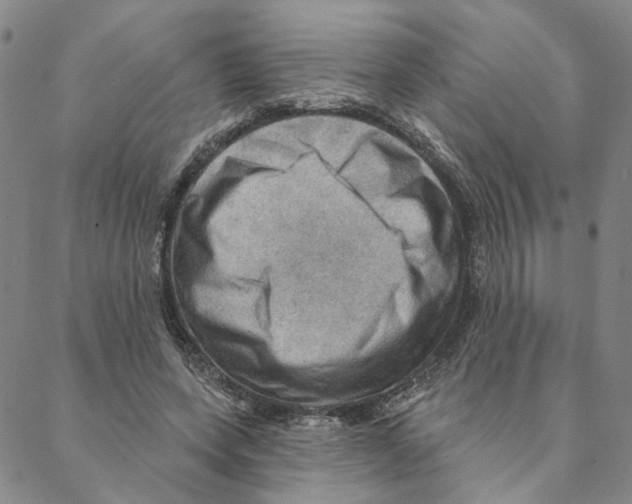 X0000088160543200706121604