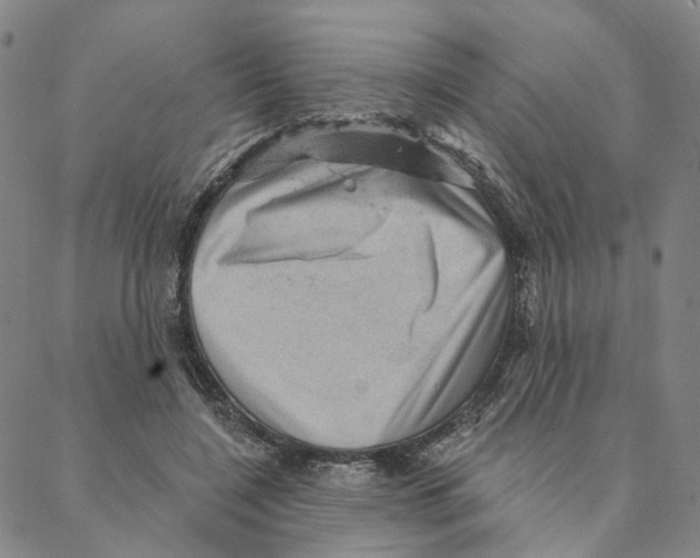 X0000088160548200706121604