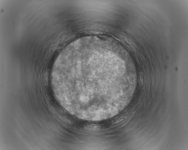 X0000088160551200706121604