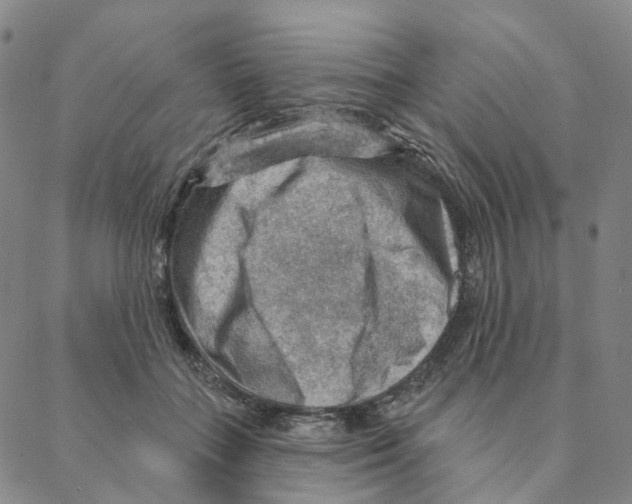 X0000088160555200706121604