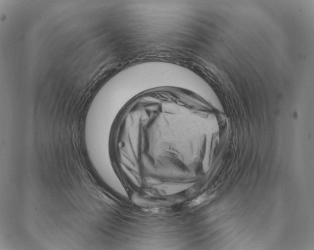 X0000088160558200706121604
