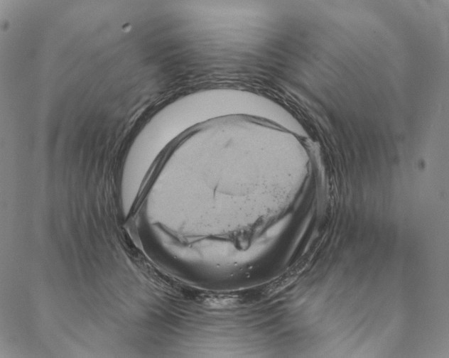 X0000088160560200706121604