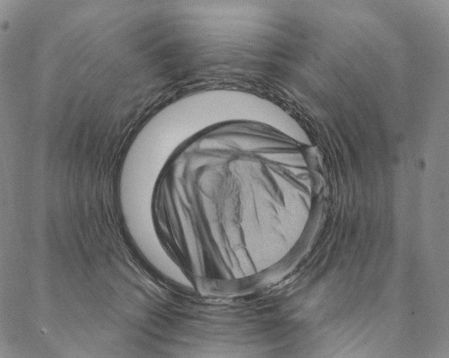 X0000088160562200706121604
