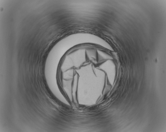X0000088160564200706121604