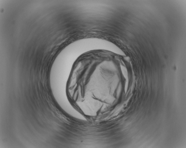 X0000088160566200706121604
