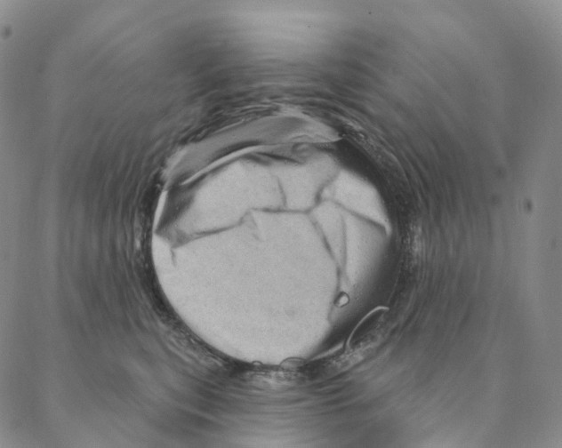 X0000088160567200706121604