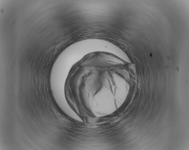 X0000088160570200706121604