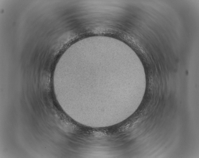 X0000088160592200706121603