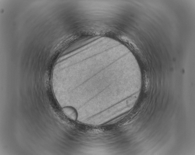 X0000088160594200706121603