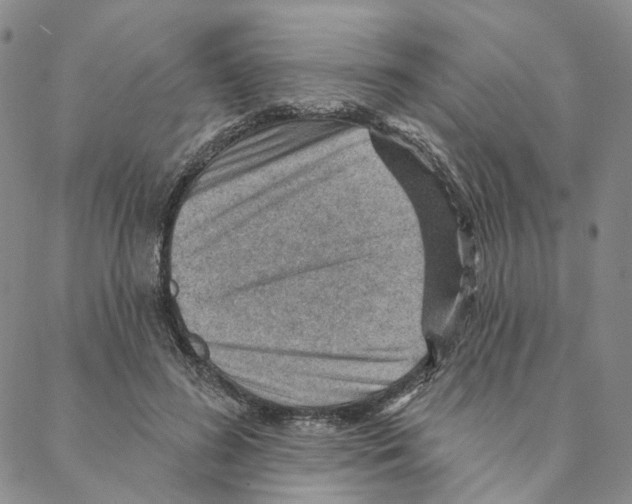 X0000088160596200706121603