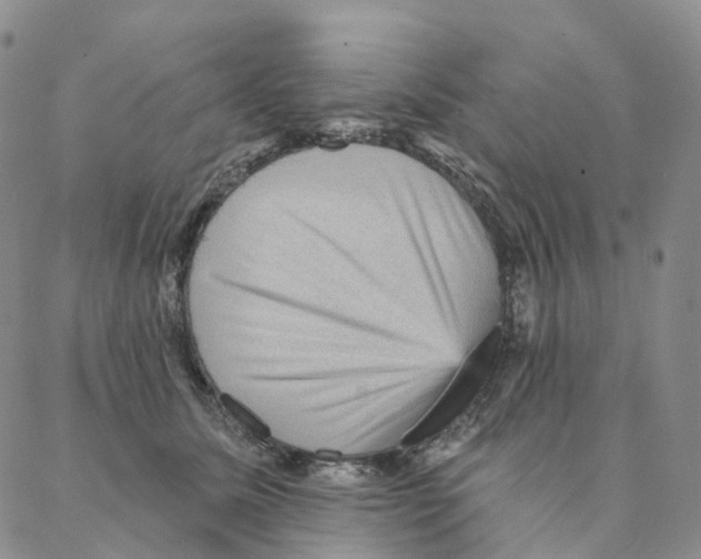 X0000088160611200706121603