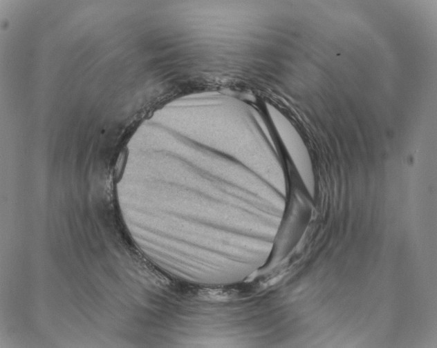 X0000088160613200706121603