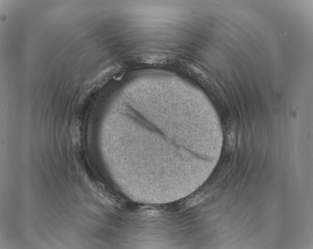 X0000088160620200706121603