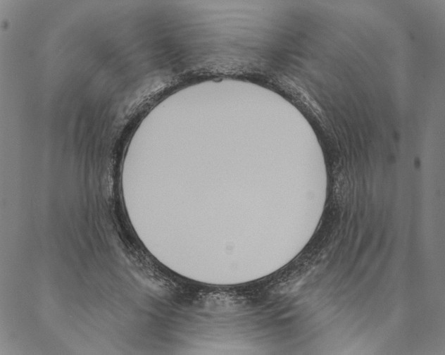 X0000088160635200706121602