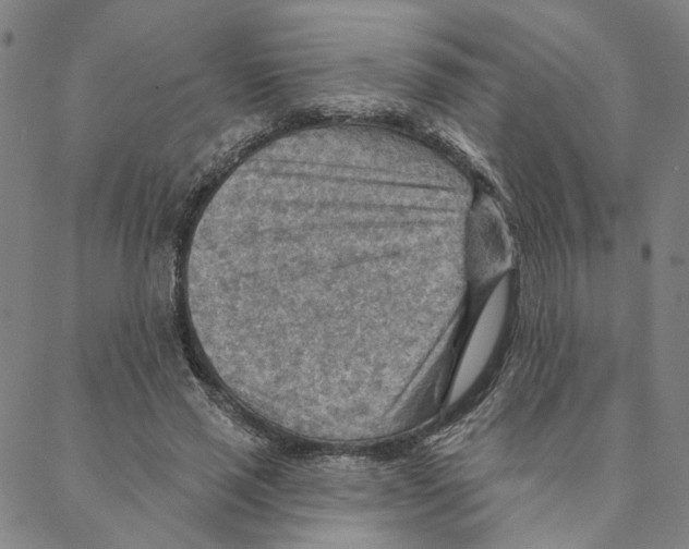 X0000088160637200706121602