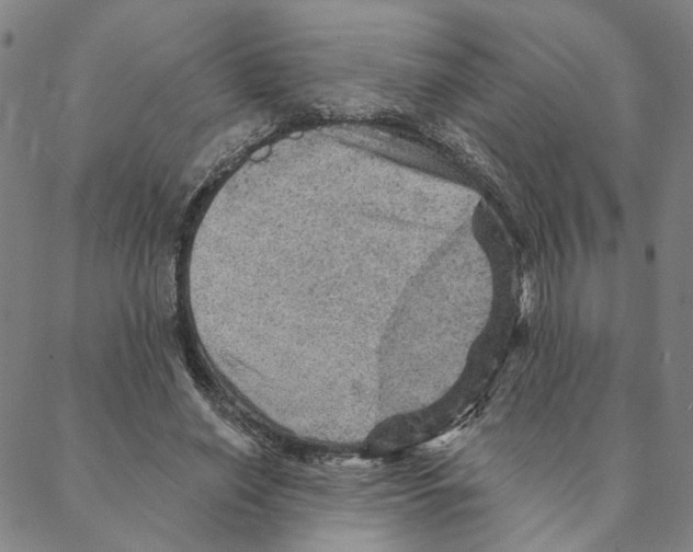 X0000088160638200706121602