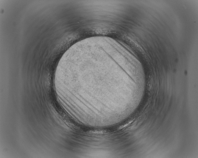 X0000088160639200706121602
