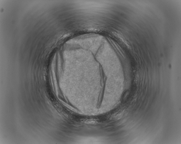 X0000088160643200706121602