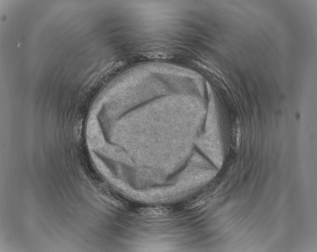 X0000088160652200706121602