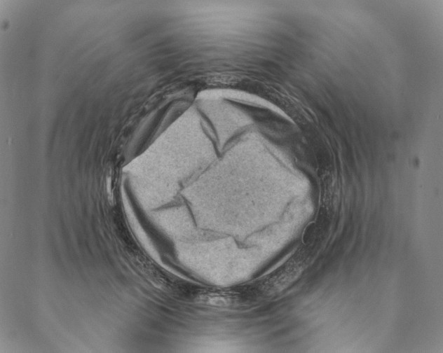 X0000088160655200706121602