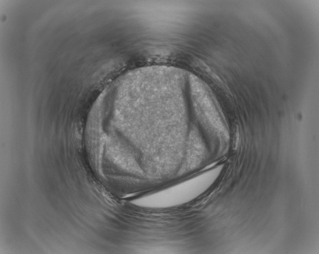 X0000088160661200706121602