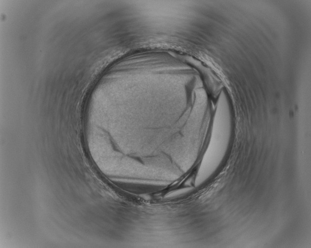 X0000088160673200706121602