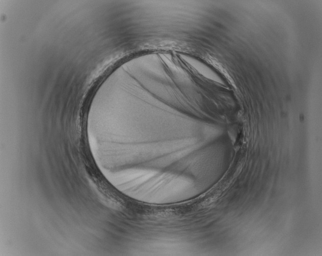 X0000088160674200706121602