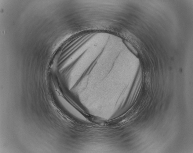 X0000088160676200706121602