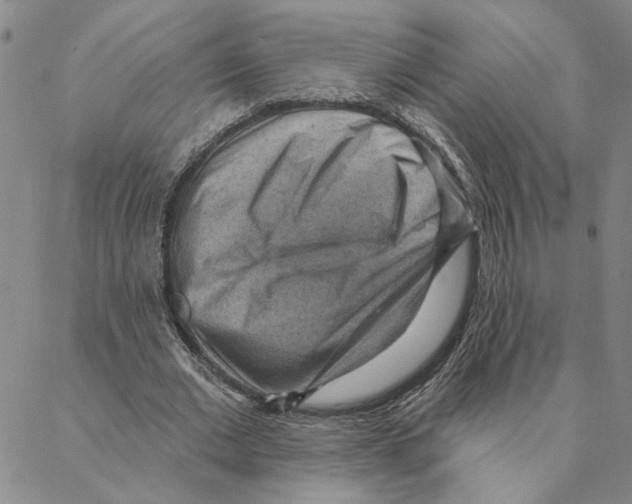 X0000088160677200706121602