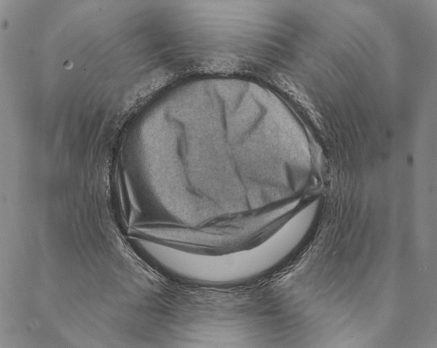X0000088160681200706121602