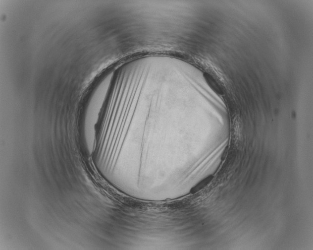 X0000088160684200706121602