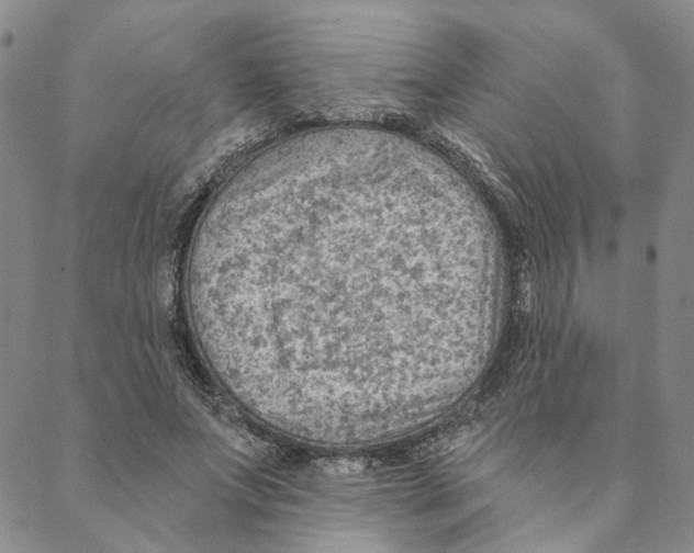 X0000088160687200706121602