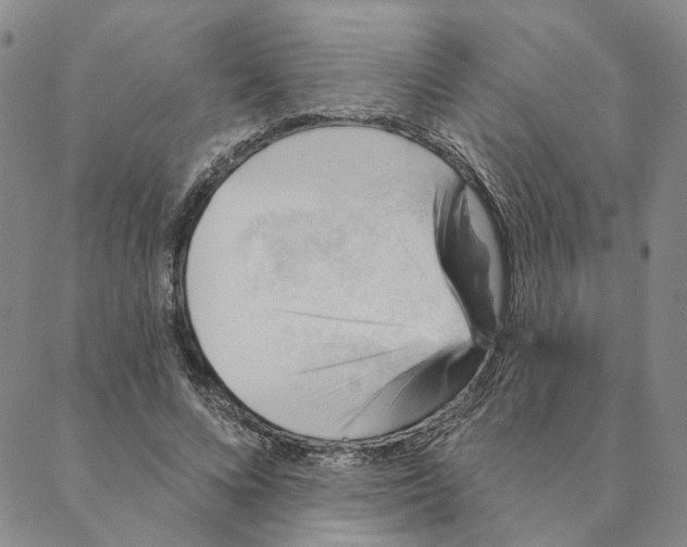 X0000088160688200706121602