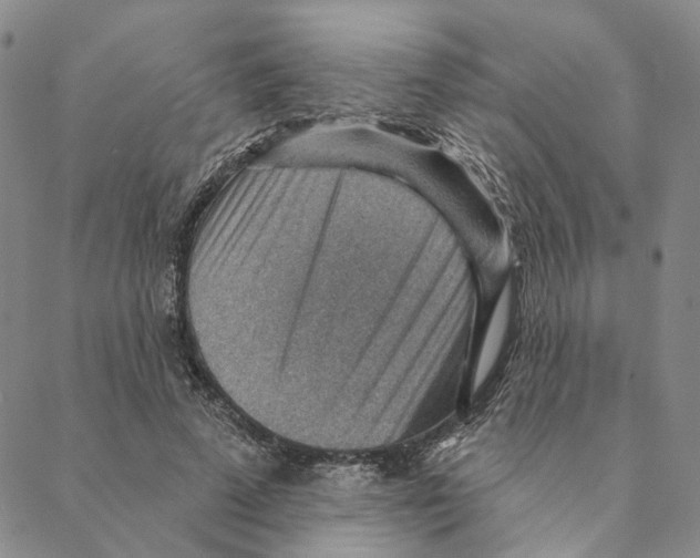 X0000088160689200706121602