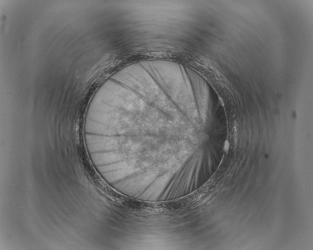 X0000088160696200706121601