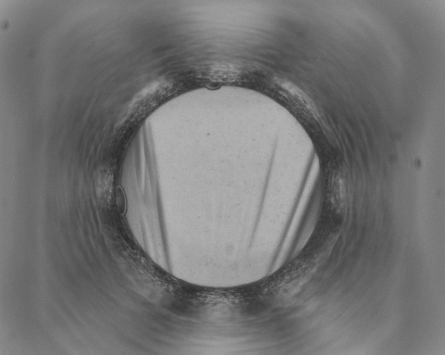 X0000088160697200706121601