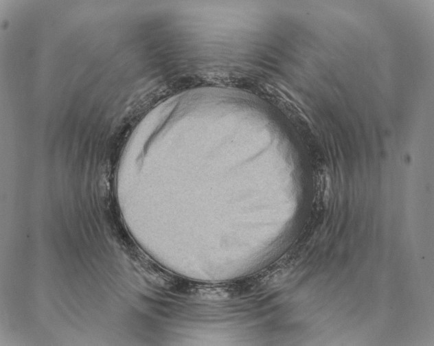 X0000088160702200706121601
