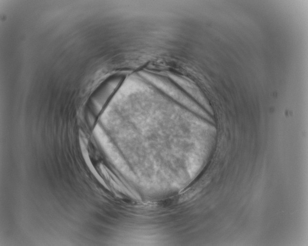 X0000088160720200706121601