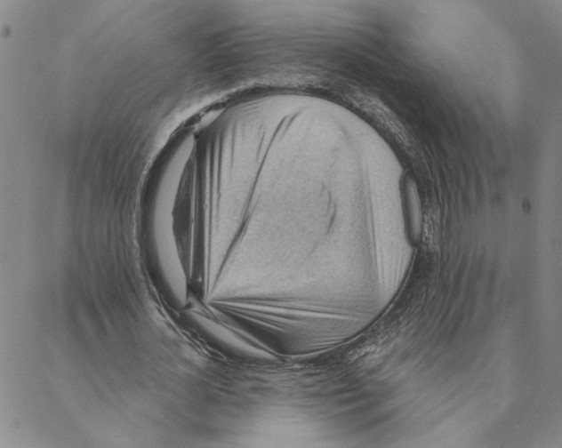 X0000088160724200706121600